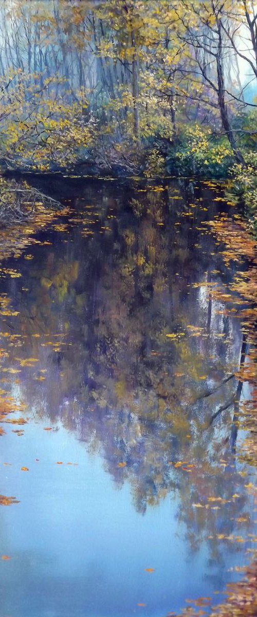 Backwater reserved for Marion Gould by Oleg Riabchuk