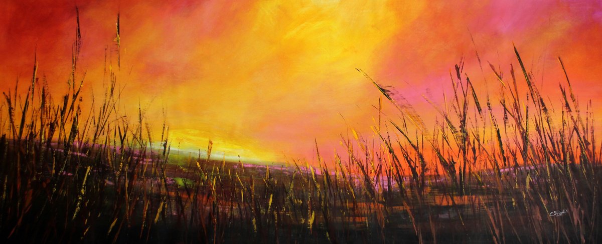 Sunset #8 By Cecilia Frigati, 83 X 35, Artwork For Sale On Artfinder