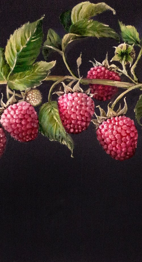 "THE RASPBERRIES" by Tetiana Tiplova