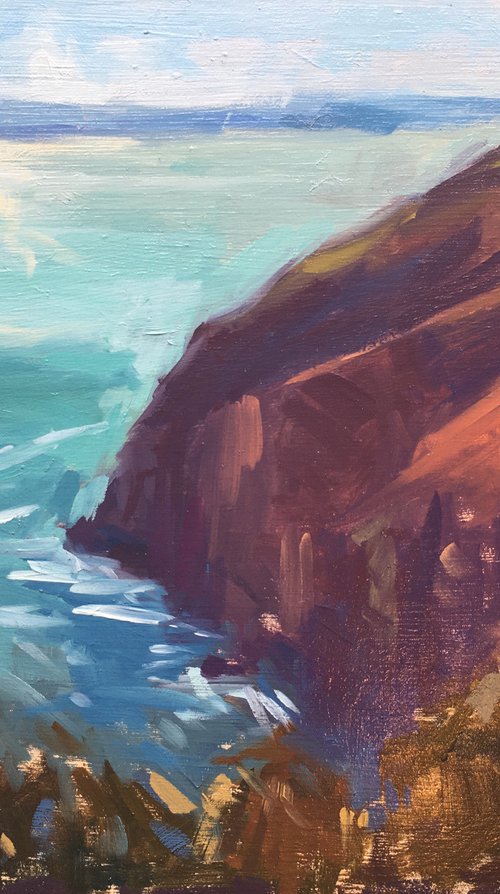 Cliffs above Heddon Valley by Louise Collis