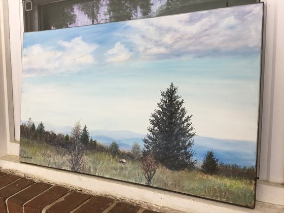 VIEW FROM GRAYSON HIGHLANDS