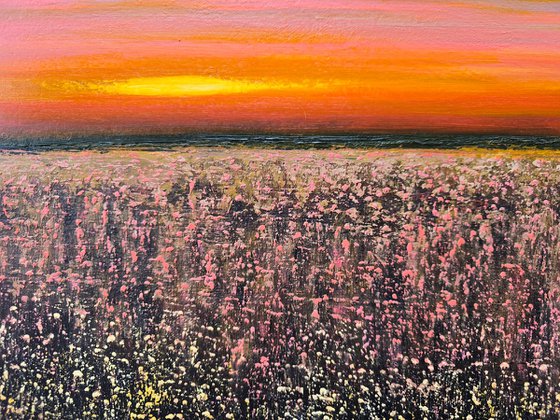 Where the Day Softens