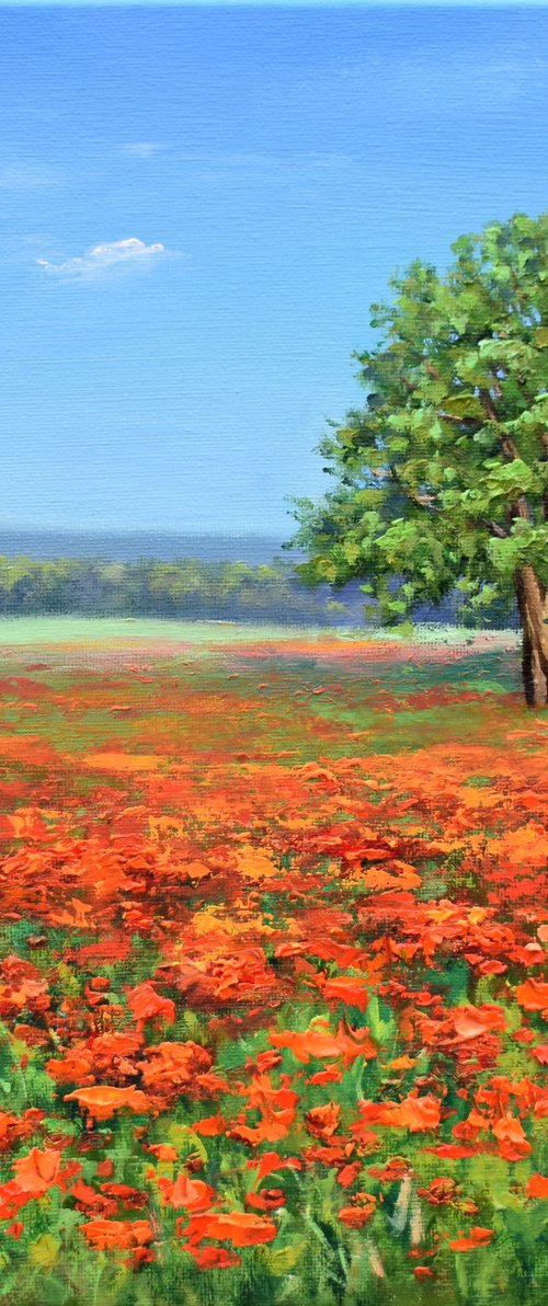 Poppy Field by Yulia Nikonova
