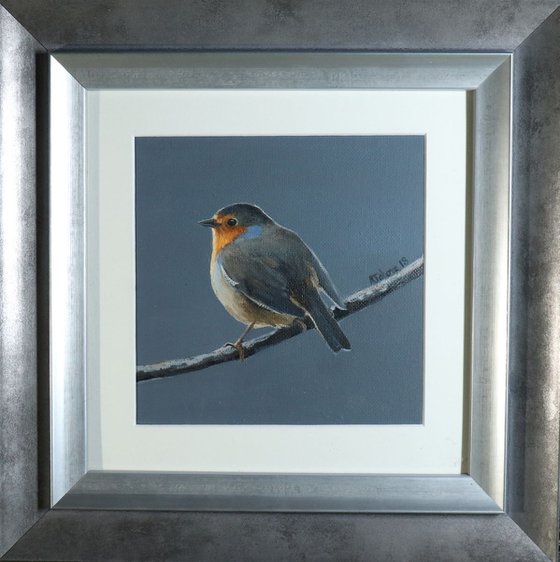Robin at Night Time Painting Framed and Ready to Hang