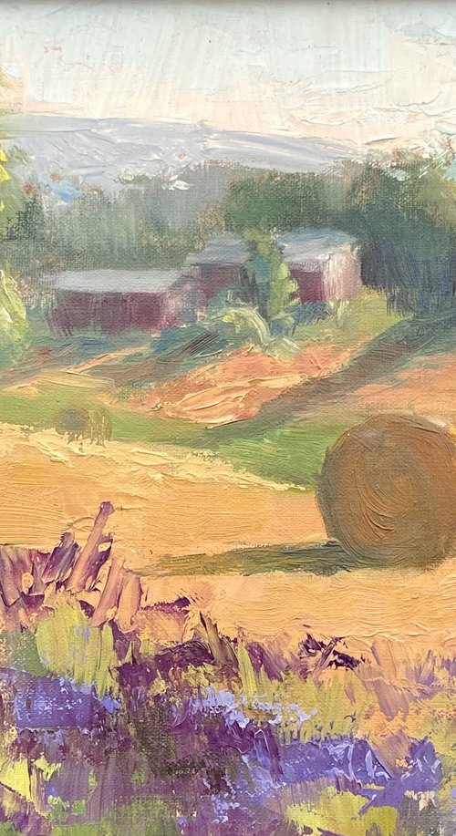 Amber Waves of Hay by Cheryl Mathieson