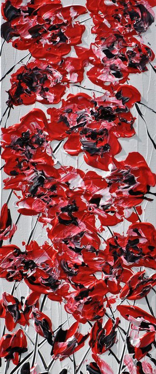 Poppy Delight 1 by Daniel Urbaník