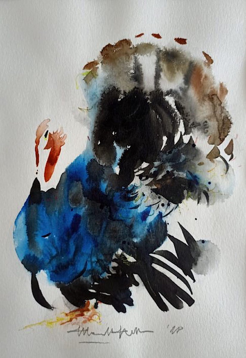 Blue turkey by Manuel Grosso
