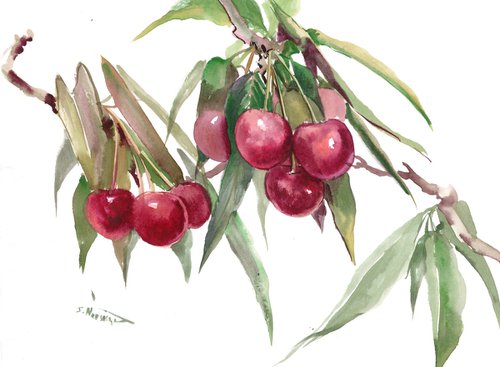 cherries on the tree by Suren Nersisyan