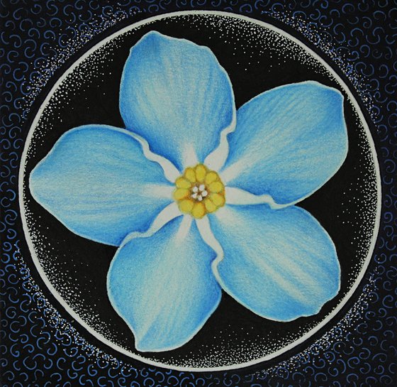 Forget Me Not Mandala