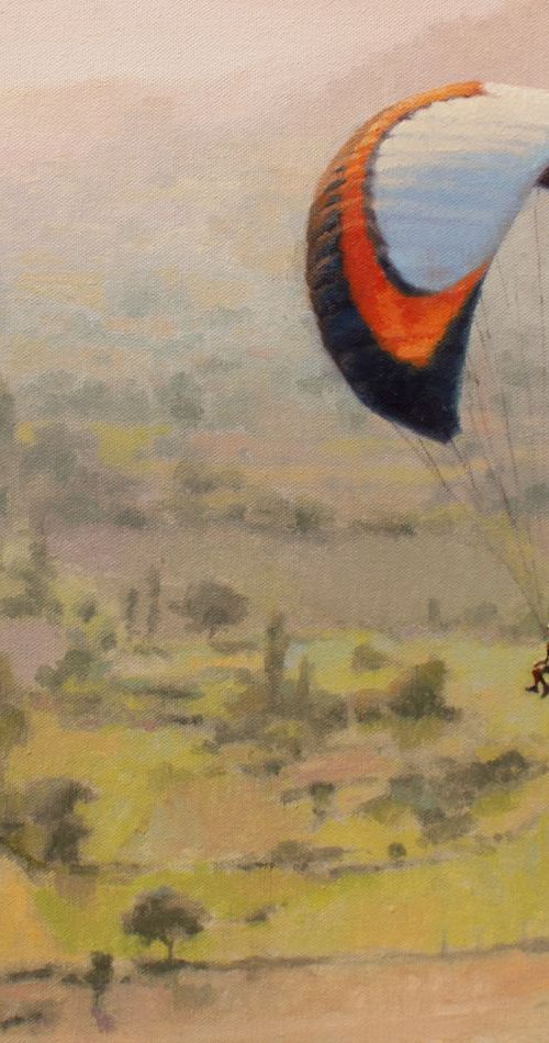 Glider - Free bird !!! by Snehal Page