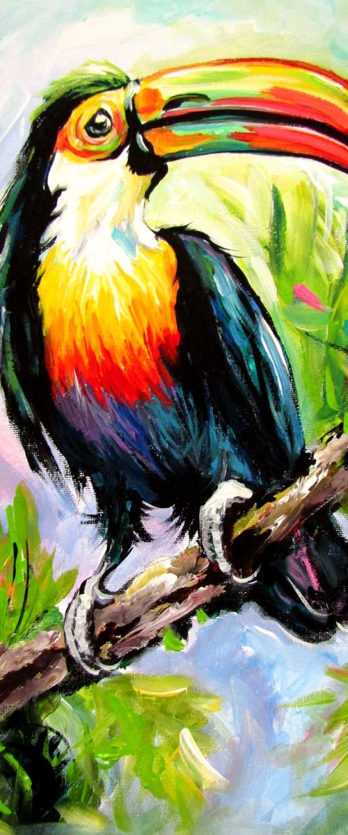 Toucan II by Kovács Anna Brigitta