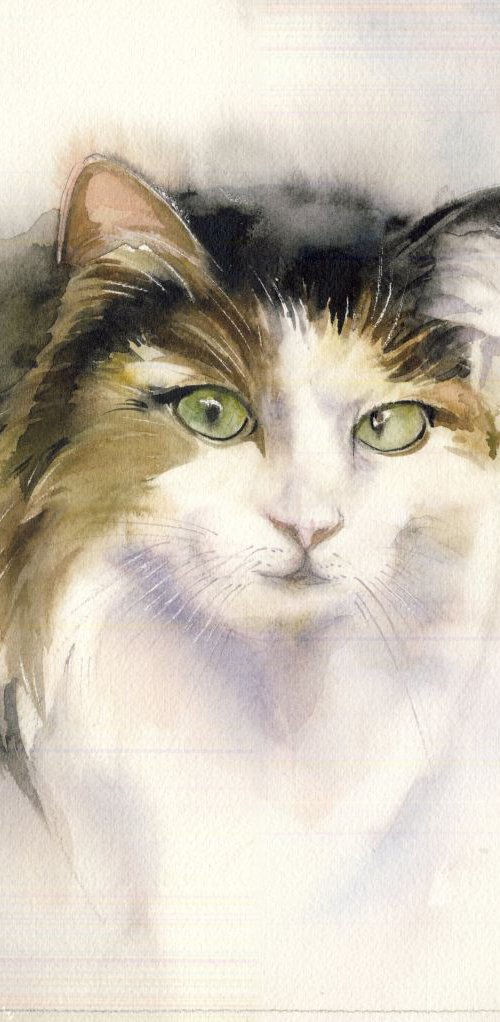 a painting a day #43 "cat watercolor' by Alfred  Ng