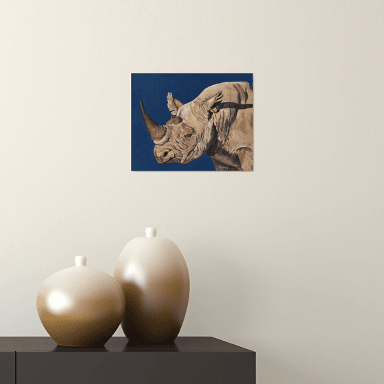 African rhino portrait