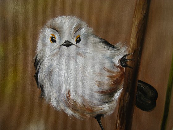 Fluffy White Bird on Branch