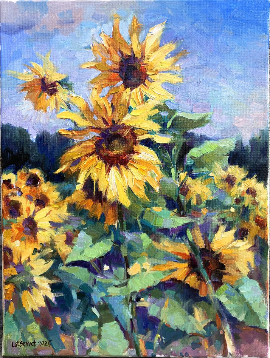 Impressionistic Botanical Oil Painting By Vladimir Lutsevich, 12 X 16", Sunflowers. The Sketch, Original Artwork