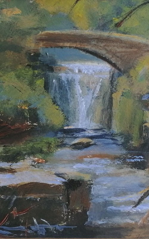 Jesmond Dene Newcastle park by Alan Harris