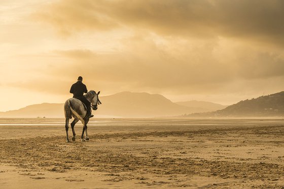 LONE RIDER