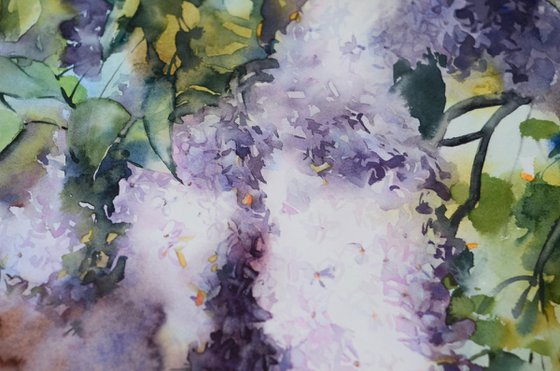 Lilac garden in watercolor