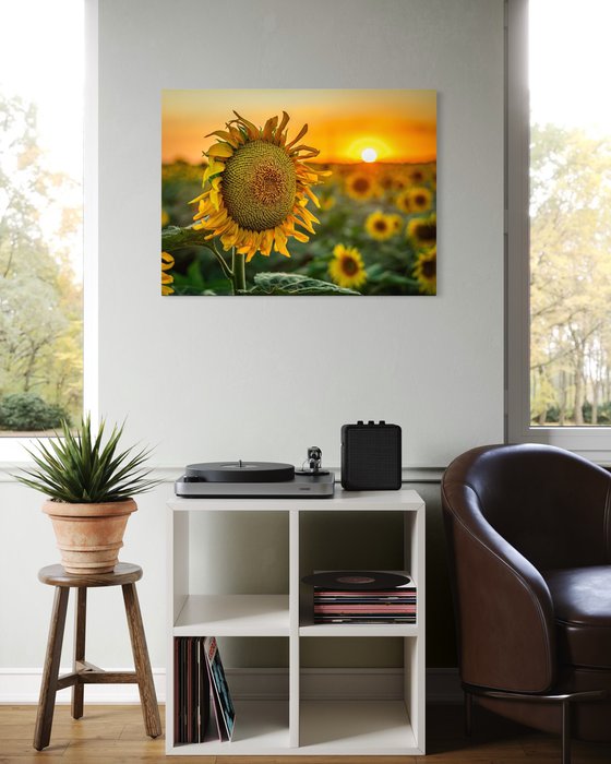 Golden Silence III – Last Light