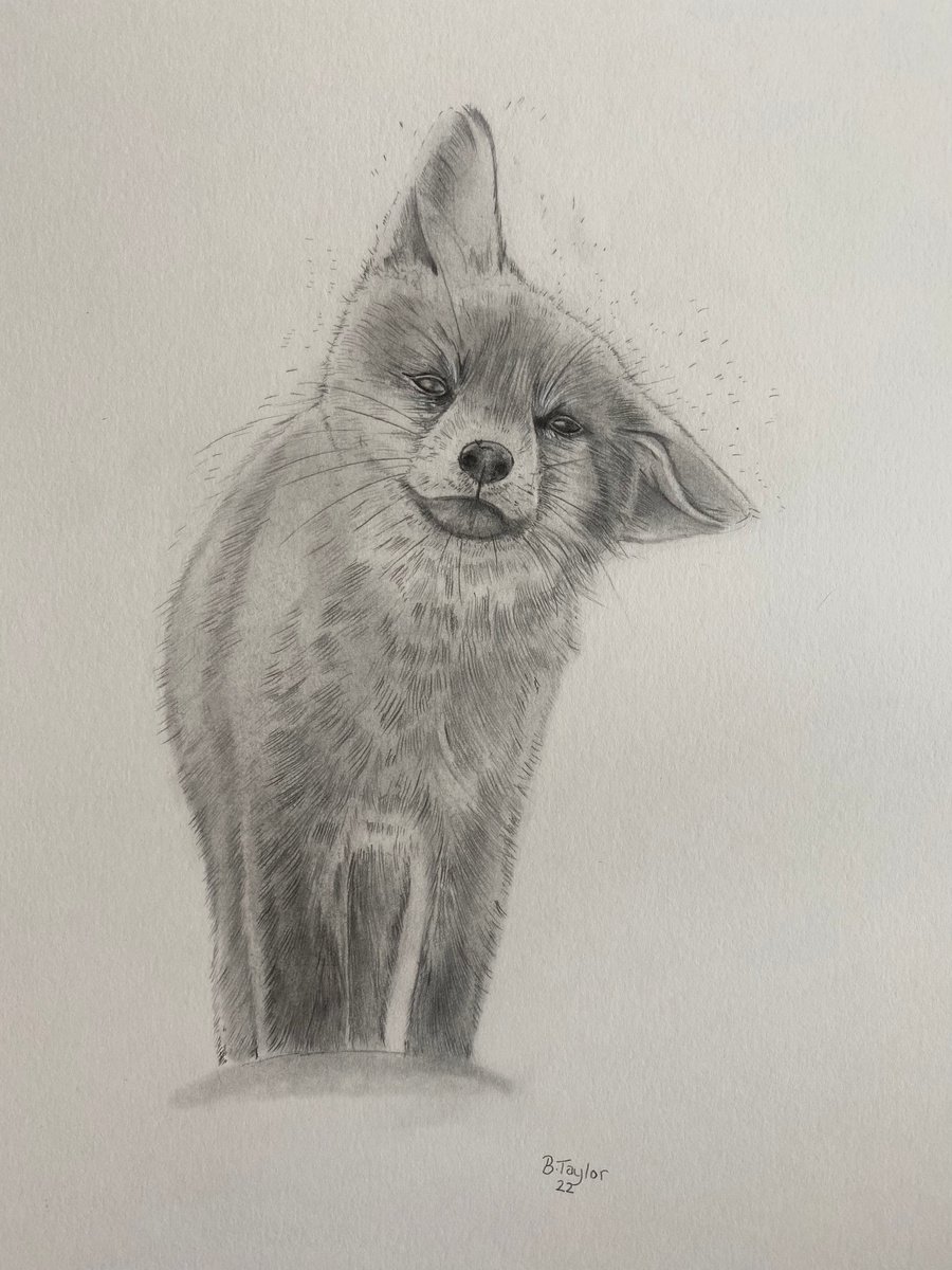 The wet fox by Bethany Taylor