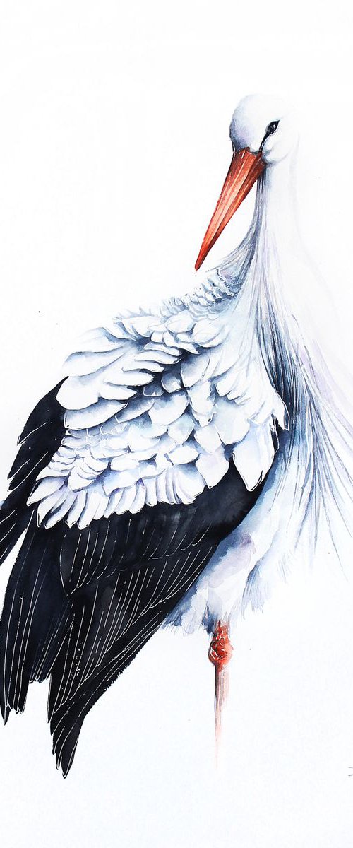 White stork, wildlife, bird, watercolour painting by Karolina Kijak