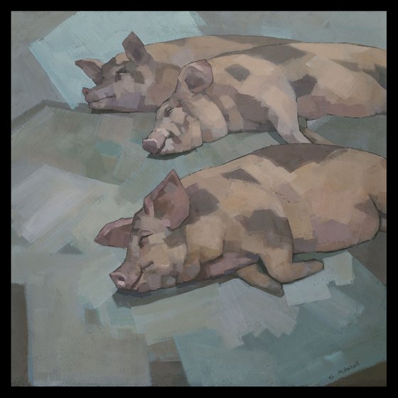 Sleeping Pigs