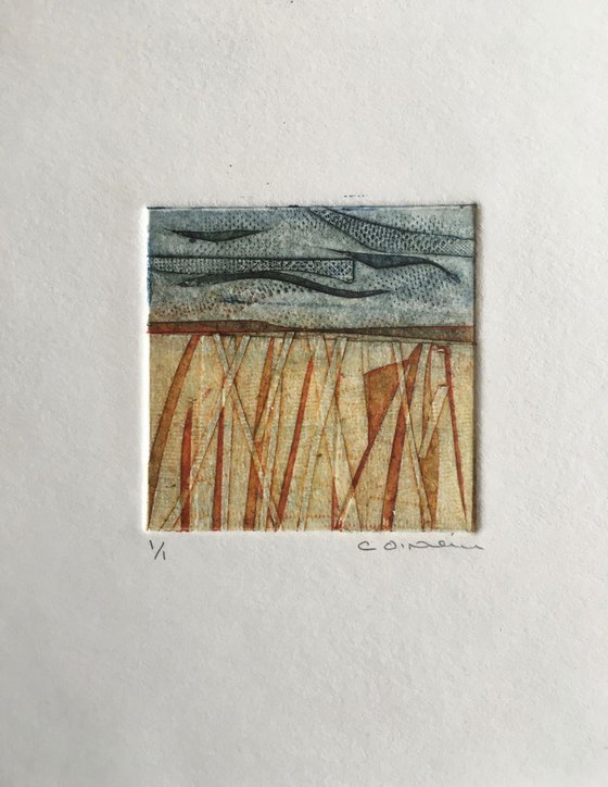 mini cornfield    Collagraph