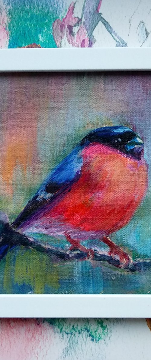 Bullfinch Red Bird by Anastasia Art Line