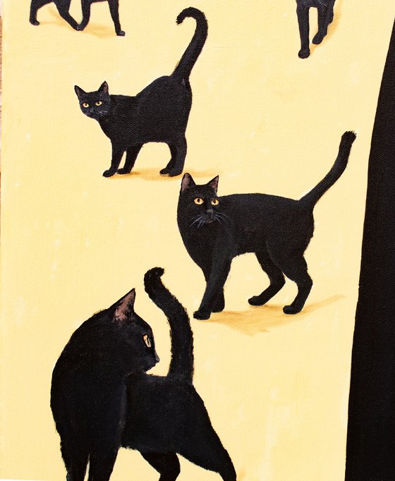 When Cats Gather