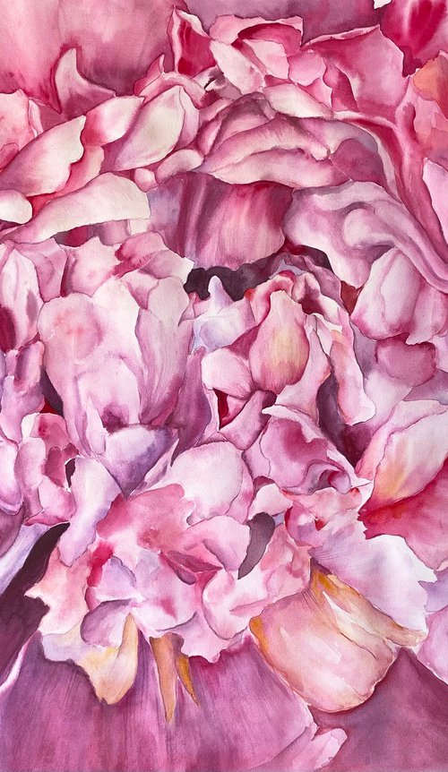 Peony Heart by Anna Lyashenko