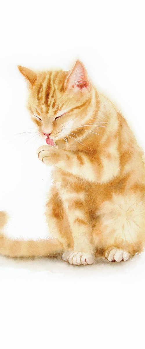 Red headed cat licking itself clean by Olga Beliaeva Watercolour