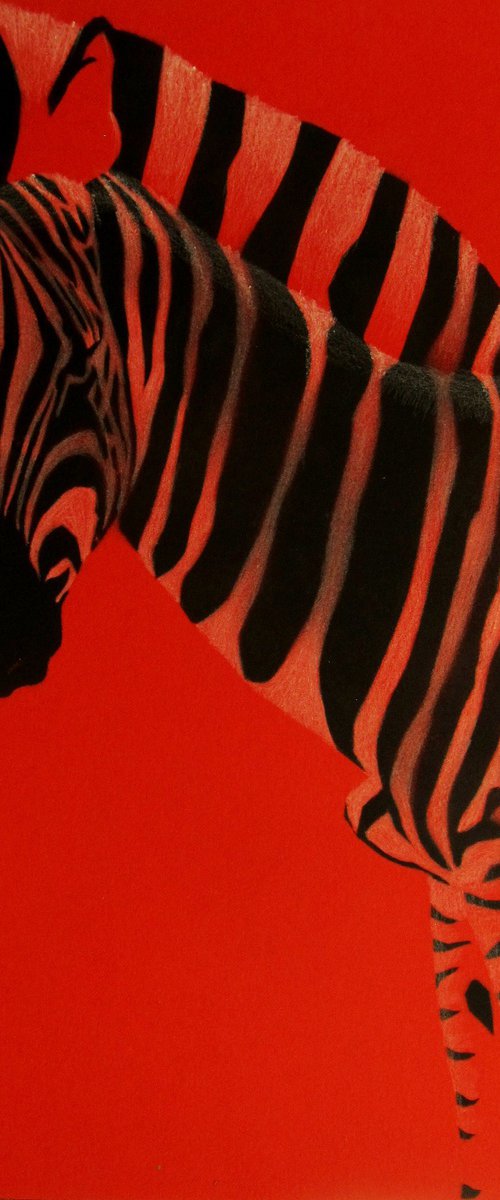 Red zebra by Serhiy Roy