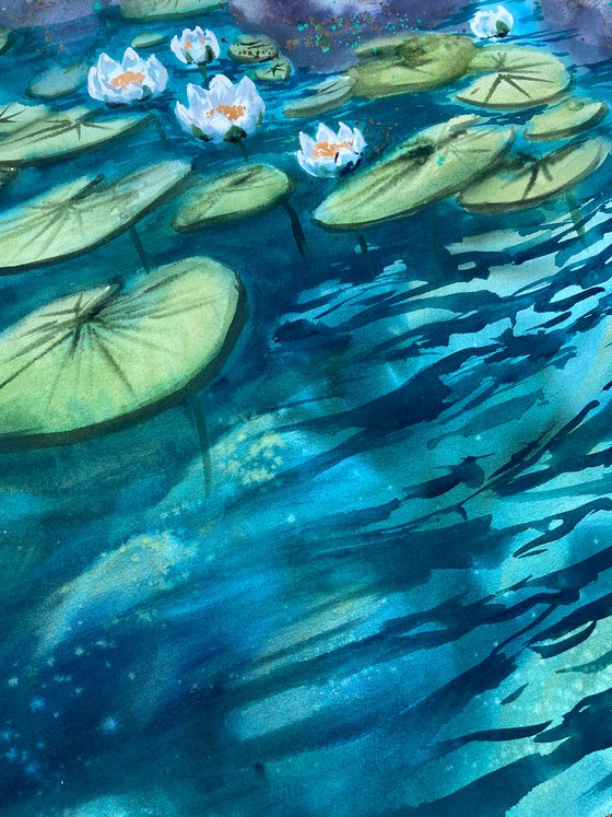 Water Lilies