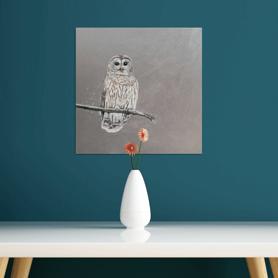 Tawny Owl ~ on silver