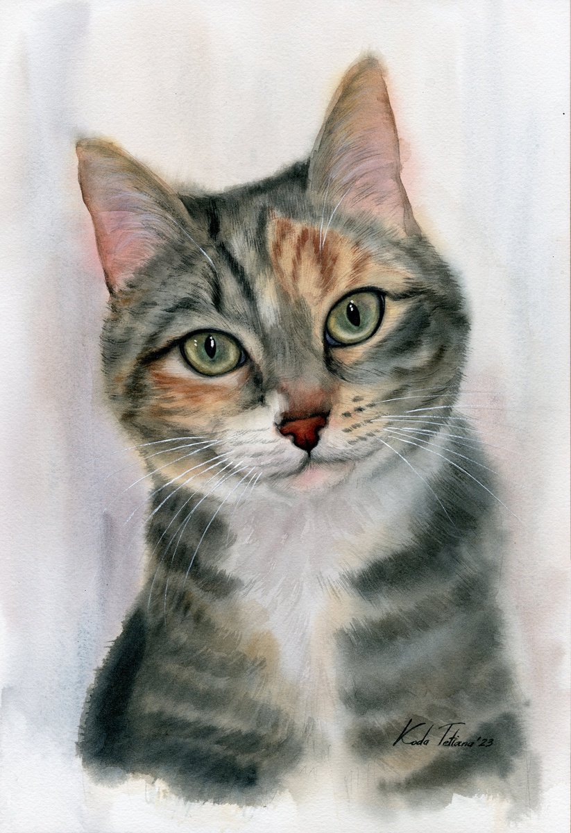 Impressionistic Animal Watercolour By Tetiana Koda, 11 X 17", Cat Portrait 30X42, Original Artwork