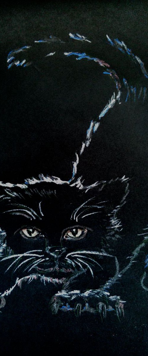 Black kitten in a dark room by Liubov Ponomarova
