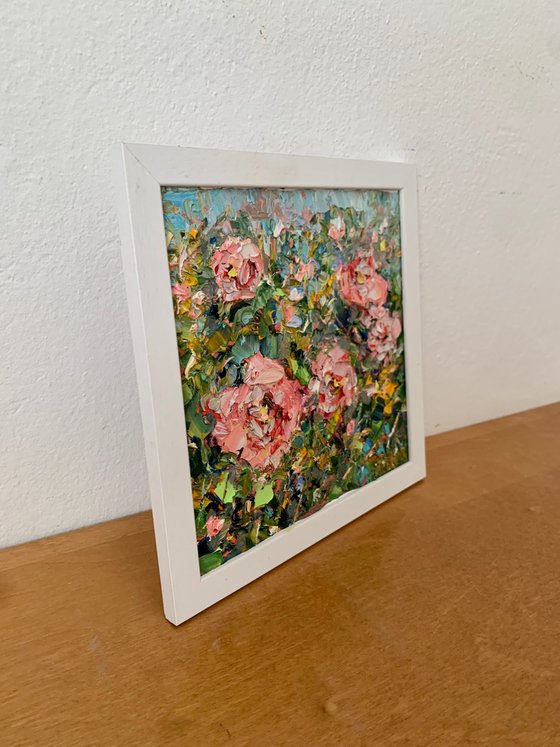 Pink roses