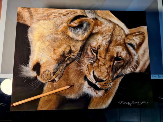,, Kittens'' realism Lions pastel on pastelmat