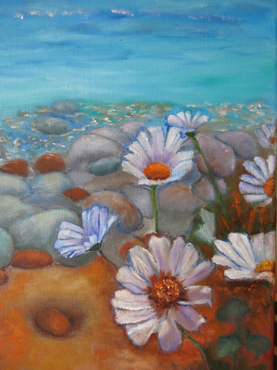 Sea, Rocks and Daisies