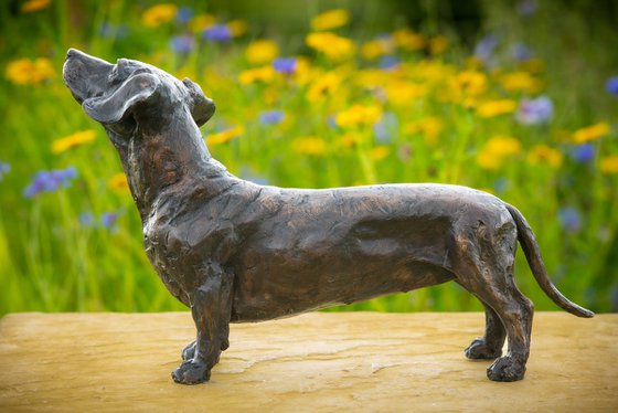 Standing Dachshund FB