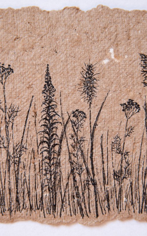 Field grasses simple line drawing by Rimma Savina