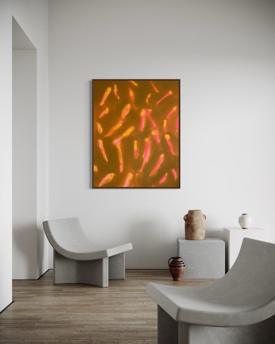 ABSTRACT LIGHTS