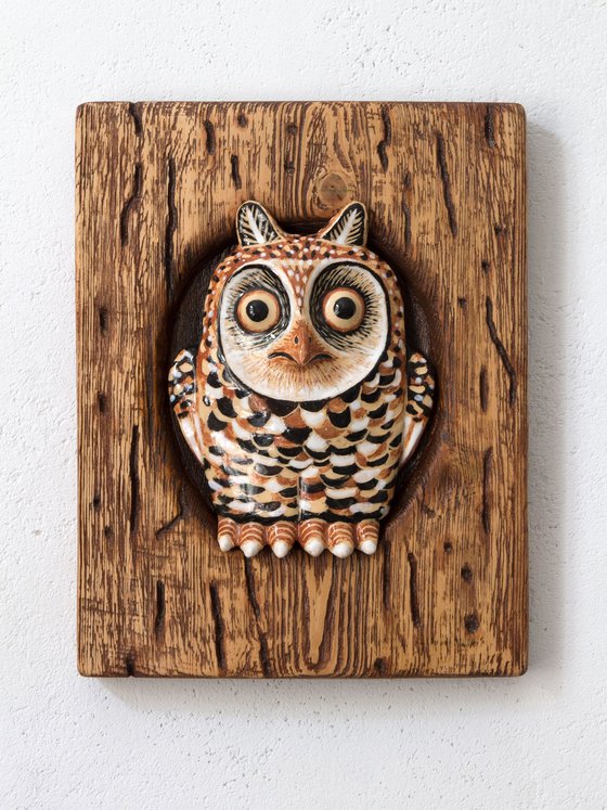 Owl