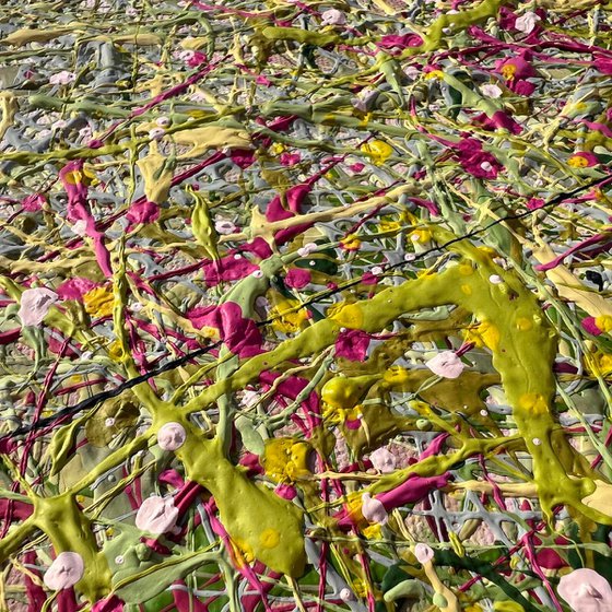 Dreaming Blooms