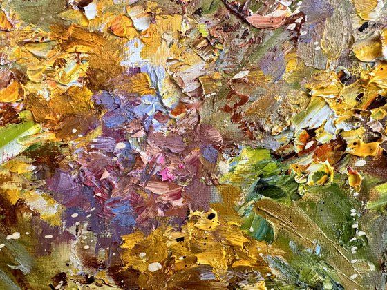 La Provence en fleur