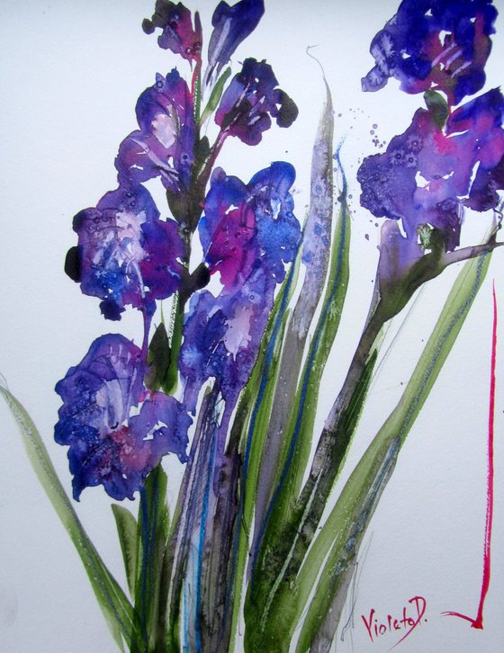 Glads 3 (Gladioli)