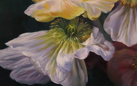 "Dream among the poppies"