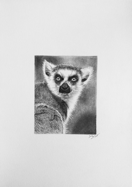 Lemur