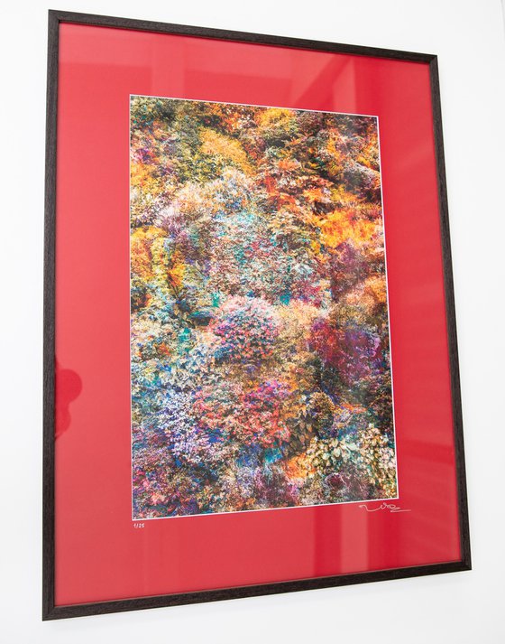 Wall of Nature XXIX (Framed)