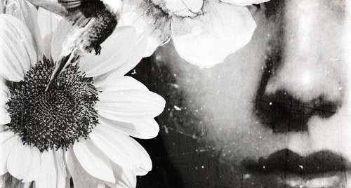Artwork by Carmelita Iezzi